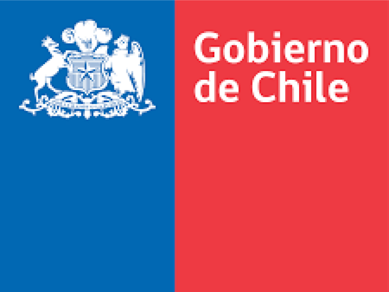 39.-Public-Sector-Gov-of-Chile.jpg